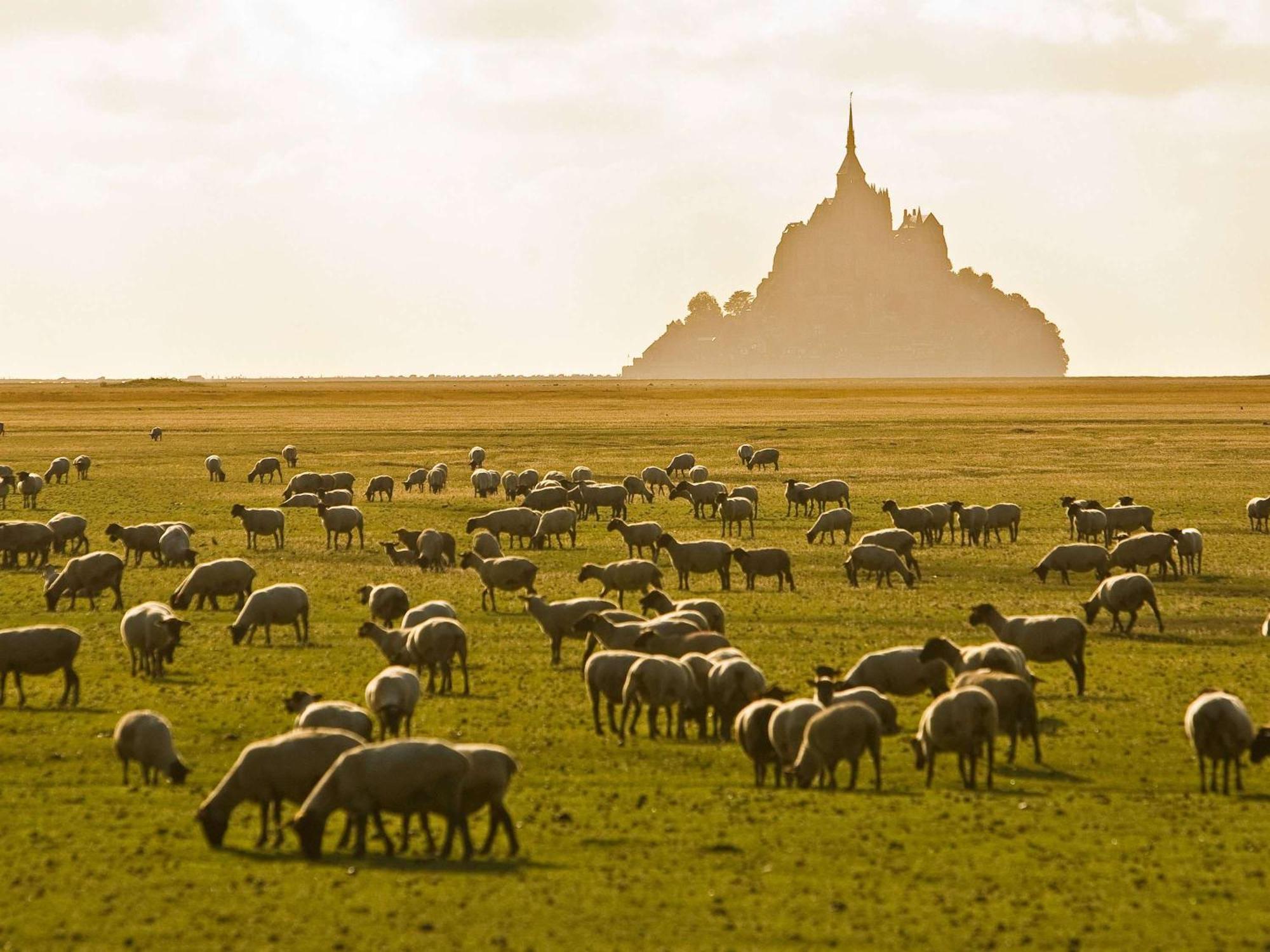 Hotelf1 Avranches Baie Du Mont Saint Michel Kültér fotó